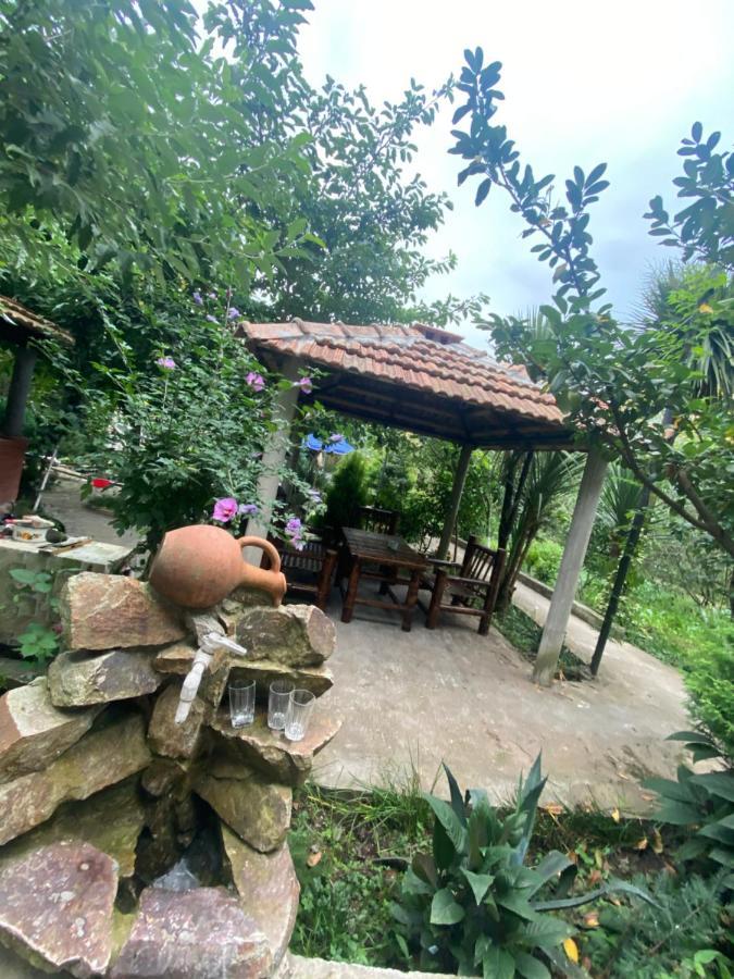 巴统 Holiday House Chkonia酒店 外观 照片
