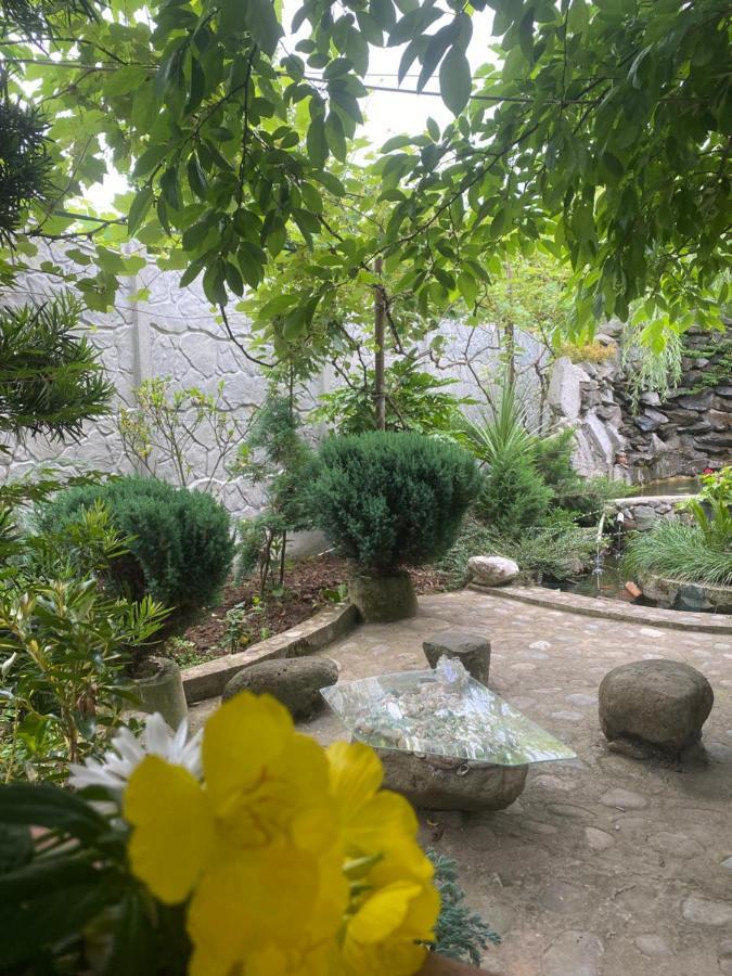 巴统 Holiday House Chkonia酒店 外观 照片