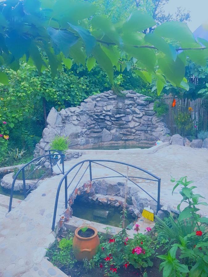 巴统 Holiday House Chkonia酒店 外观 照片